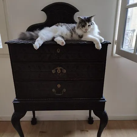 Large Deluxe Suite, Historic Center 1st *