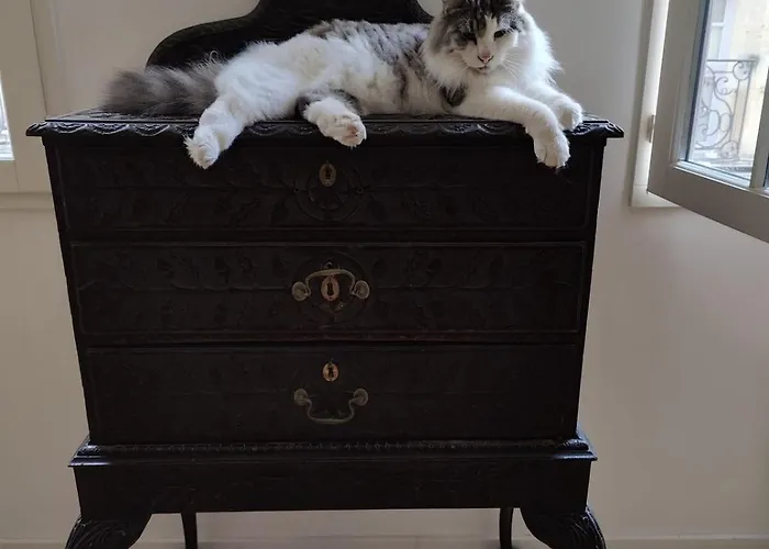 Large Deluxe Suite, Historic Center 1st *